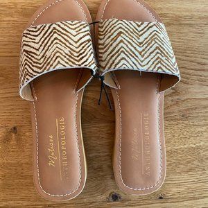 Matisse Anthropologie Havana Zebra Pony Hair Wooden Heel Slides Sz 6